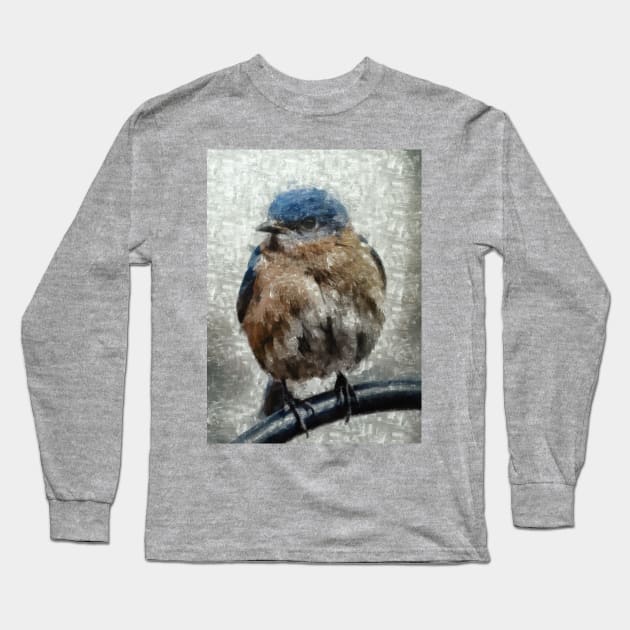 Eastern Bluebird Long Sleeve T-Shirt by Ryan Rad